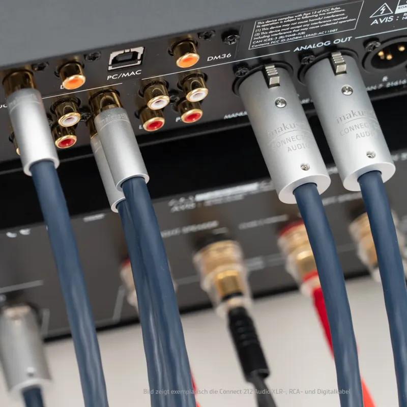 S25 Connect 212 Audio | RCA (3)